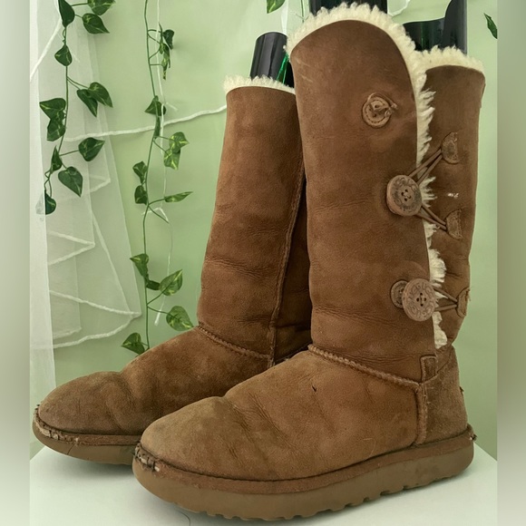 UGG Shoes Mid Calf Ugg Boot With Buttons Poshmark